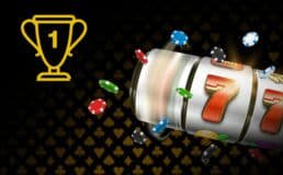 16 bet app